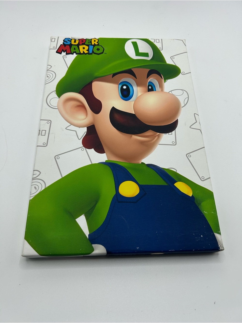 Super Mario Luigi 2019 Nintendo 8”x12” Canvas